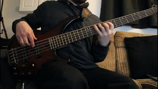 Shimmy  System of a Down bass cover [upl. by Asum699]