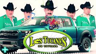 Los Tucanes de Tijuana 🎀🎀Lo Mejor de los Corridos Bravos 💥 26 Éxitos Corridos Pesados Mix🔶🔶 [upl. by Ylrebnik]