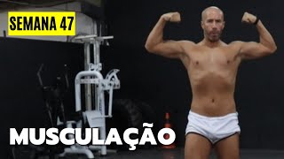 SEMANA 47  DISSERAM que SERIA FÁCIL  Musculação [upl. by Lirbij]