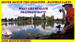 Maver Match This Qualifier  Hayfield Lakes  August 2023  Live Match Fishing [upl. by Aloel]