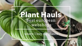 European plant shops  before the PLANT HAUL  where I buy my rare house plants  Webshop Review [upl. by Doloritas]