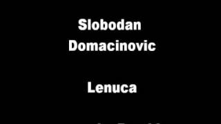 Slobodan Domacinovic  Lenuca [upl. by Shumway]