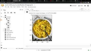 Vidéo 98160  Tensorflow  Charger les Images avec ImageDataGenerator [upl. by Asylem]