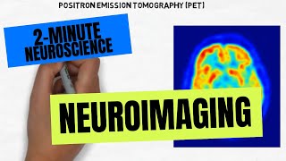 2Minute Neuroscience Neuroimaging [upl. by Mcevoy]