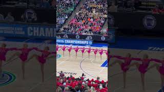 Minnesota State Dance Team Tournament 2024 [upl. by Nosinned635]