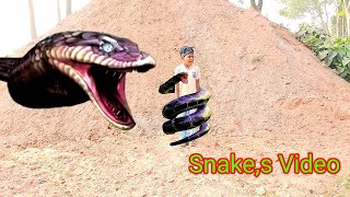 Anaconda  snake 10 in real life HD video  Vfx Luba [upl. by Annaet]