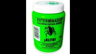 recomendación para el uso de exterminador cucarachicida borax en casa Insecticida no tóxico [upl. by Sacks318]