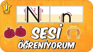 N Sesi Öğretimi 🌿 Okunuşu ve Yazılışı ✍🏻 1Sınıf 2025 [upl. by Nuahsyar]