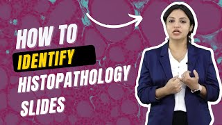 How to Identify Histopathology Slides  Pathology Hacks for MBBS NEET PG [upl. by Alicsirp]