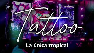 Ya no me importan los demás cuando realmente quiero amar🎶TATTOO  La Única tropical LETRA [upl. by Nelda]