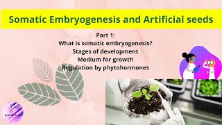 Somatic Embryogenesis and Artificial Seeds  Part 1  Plant Tissue Culture [upl. by Hubsher559]