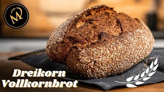 Dreikorn Vollkornbrot selber backen  Gesundes Vollkornbrot Rezept mit Sauerteig [upl. by Viviana]