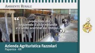 Azienda Agricola biologica Fazzolari [upl. by Arbmik]