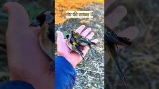 Sanatan dharm Mantra power 🔋jay dharmik bhakti god love mantra krishna jayshriram kanha [upl. by Bocock]