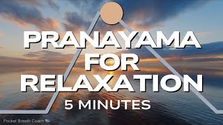 Pranayama for Relaxation 4184 [upl. by Adnalra415]