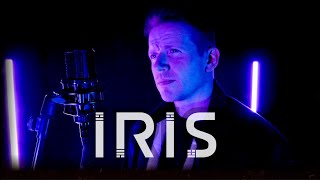 Iris  Goo Goo Dolls Cover by Colm R McGuinness [upl. by Ahsoik]