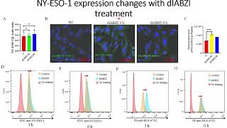 DiaBZl stimulates NYESO1 antigen expression on tumor cells Code 704 [upl. by Willi]