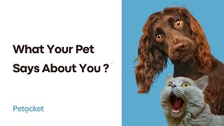 What Your Pet Says About You [upl. by Nedac]