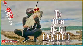 UL Ep 22 Capung Vs 2kg Queenfish  Ternate Free Fishing Spot [upl. by Bautram]