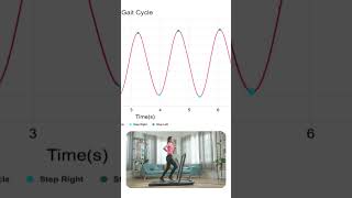 Advanced Gait Analysis [upl. by Quintie]