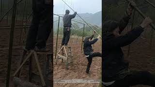 Use fresh bamboo to build greenhouse arch shed [upl. by Elttil]