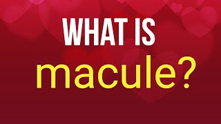 What is macule [upl. by Ilak]