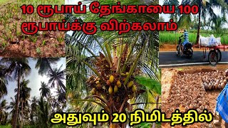 தென்னை மரத்தில் லாபம் சம்பாதிப்பது எப்படிதேங்காய் மரம் வளர்ப்புcoconut farming in tamil [upl. by Hsizan683]