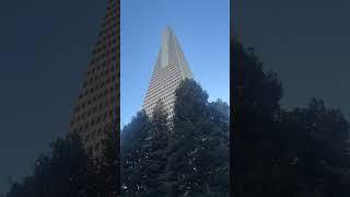 Transamerica Tallest building in San Francisco [upl. by Ajnos]