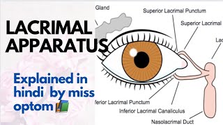 lacrimal apparatus Anotomy and physiology of lacrimal apparatusin Hindi 📚 Miss optom Ritika😎 [upl. by Ariajay]