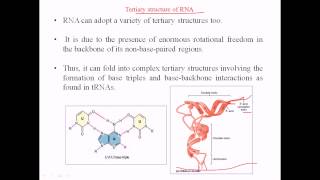 RNA structure  tertiary structure [upl. by Acnalb488]