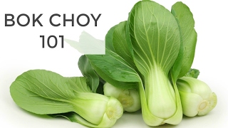 Bok Choy 101  Everything You Need to Know [upl. by Adnahcir]