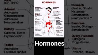 Different types of Hormones and their secretion [upl. by Hacceber]