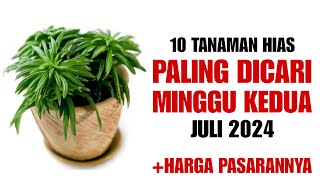 10 Tanaman Hias Paling Dicari di Minggu Kedua Bulan Juli 2024 [upl. by Mlohsihc]