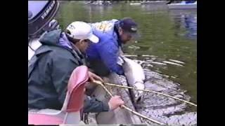 Alaska King Salmon Fishing on the deshka river with ESPN near Anchorage Alaska [upl. by Ananna]