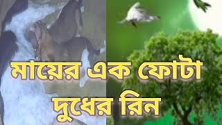 myar fota dudher rin shodh aave na kono dinমায়ের এক ফোটা দুধের রিন শোধ হবেনা কোনদিন [upl. by Torie]