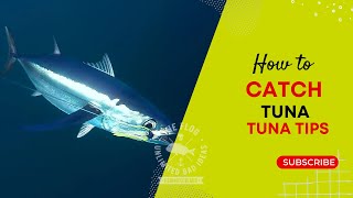 How to Catch Tuna  Tuna Tips [upl. by Ebberta]