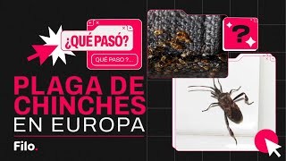 PLAGA de CHINCHES en Europa  QuéPasó [upl. by Odnaloy478]