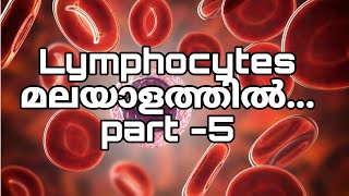 Lymphocytes Malayalampart5 [upl. by Aicittel]