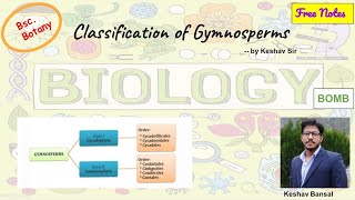 Classification of Gymnosperms  Bsc  Free PDF notes  by Biology Bomb [upl. by Luahs]