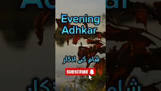 Evening Adhkar DUA✨  OMAR HISHAMshortsfeed shorts islam adhkar [upl. by Ieso]