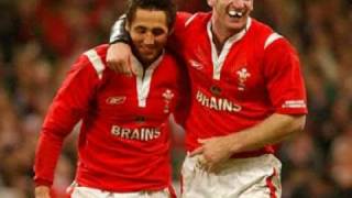 Welshmen Born And Bred  New Song For All Welsh Sport [upl. by Thetes424]