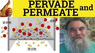 🔵 Pervade and Permeate  Pervade Meaning  Permeate Examples  Pervasive Definition [upl. by Tenahs]