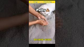 Pet Dogs Poop Cleaning 😱🤔shorts [upl. by Odlanier]