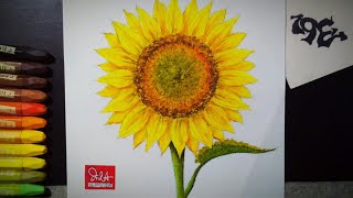 How to draw and color sunflower with oil pastel  Tutorial for kids  Art workshop  For my students [upl. by Nesaj]