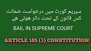 bail in supreme court  article 1853of constitution bail application in supreme court [upl. by Sucramd]