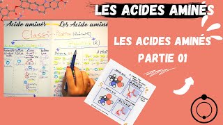 📣Les Acides Aminés1 Leurs structuresAstuce pour les apprendre اقوى طريقة لحفظ الاحماض الامينية [upl. by Ysus]