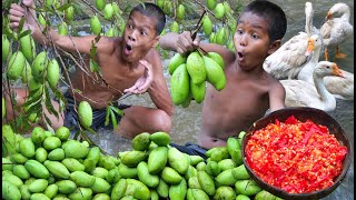 Primitive technology  Eating rich mango fruits delicious [upl. by Jovita]