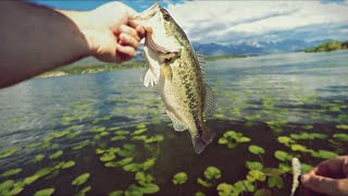 An Evening Bass Fishing on Lake Windermere [upl. by Ximenez]