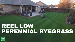 Reel Low Perennial Ryegrass  December 2017 full length [upl. by Claudina546]