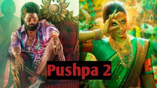 Pushpa 2  hindi movie  dubbed video  allu arjun sauth movie [upl. by Slohcin]